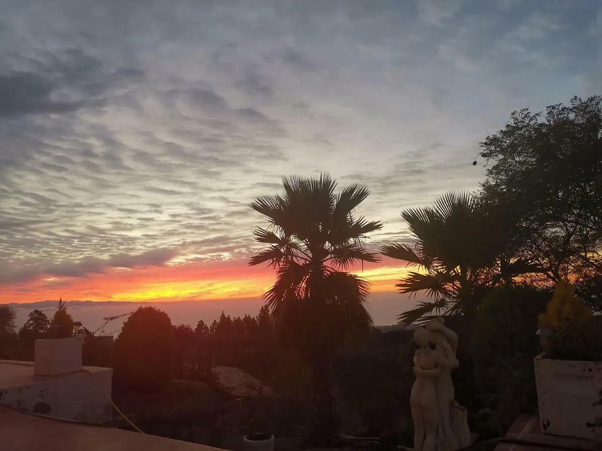 Finca Dulce Maikel Granadilla De Abona Holiday home